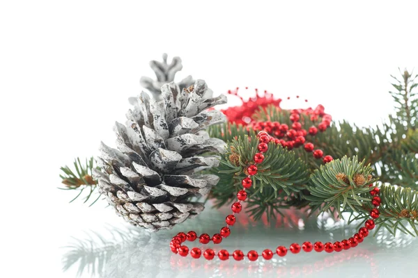 Christmas fir-cone with fir branches Stock Image