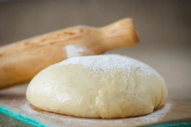 hamur mayaları