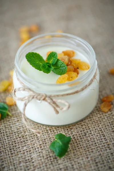 Yogur dulce casero con pasas —  Fotos de Stock