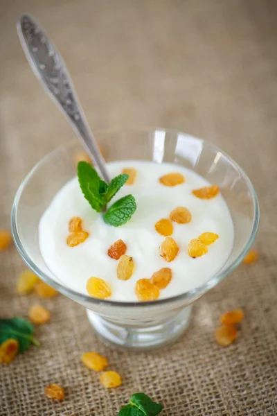 Home sweet yogurt with raisins — Stock Photo, Image