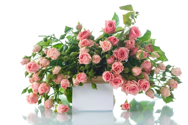 Roze rozen — Stockfoto