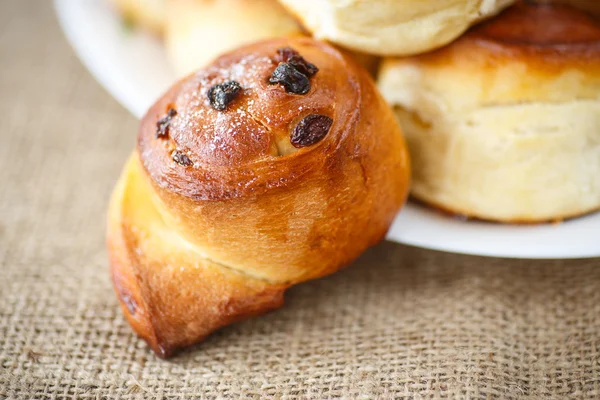 Rotoli dolci con uva passa — Foto Stock