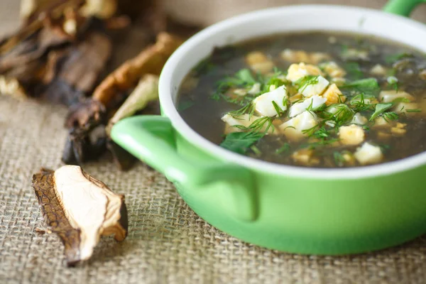 Sauerampfersuppe mit getrockneten Pilzen — Stockfoto