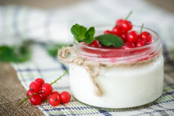 Reçel ve kırmızı kuş üzümü ile tatlı yoğurt — Stok fotoğraf