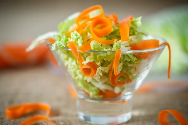 Salada de repolho picado fresco e cenouras — Fotografia de Stock