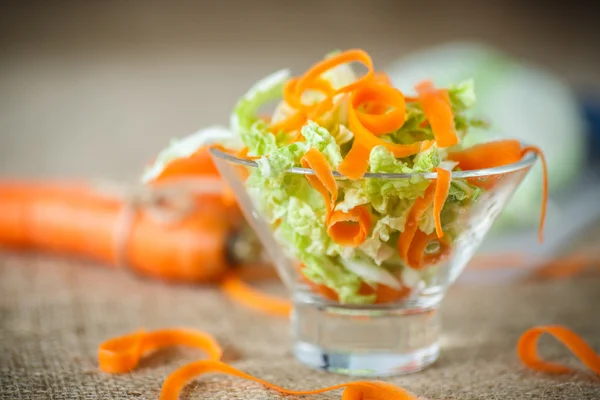 A friss apróra vágott káposzta és a sárgarépa saláta — Stock Fotó