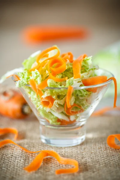 Salad of fresh chopped cabbage and carrots — Stock Photo, Image