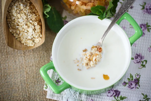 Oatmeal with milk and raisins — Stock Photo, Image