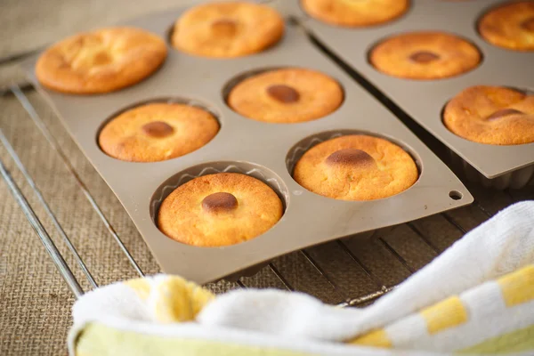 Muffins de queijo doce em formas de silicone — Fotografia de Stock