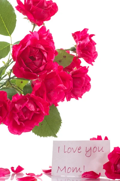 Bir buket kırmızı gül. 