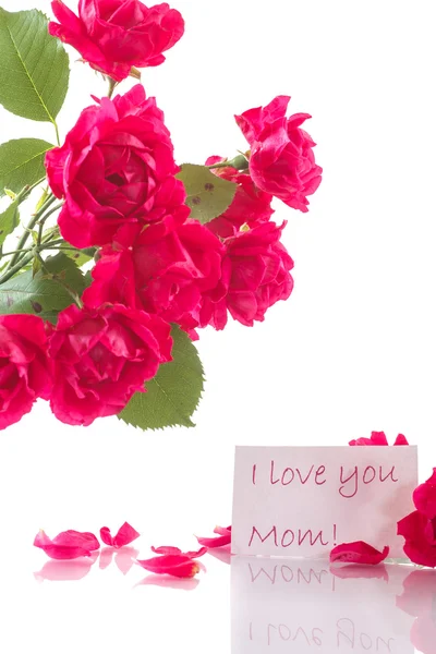 Bir buket kırmızı gül. 