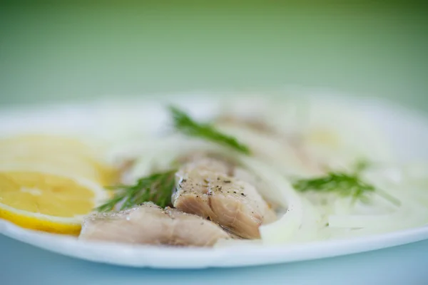 Stukken van gezouten haring met uien — Stockfoto