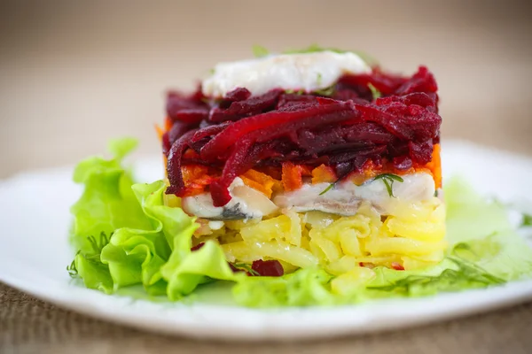 Ringa balığı ve haşlanmış sebze salatası — Stok fotoğraf