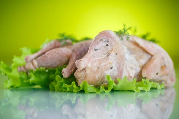 Quail — Stock Photo, Image