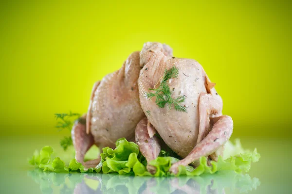 Quail — Stock Photo, Image