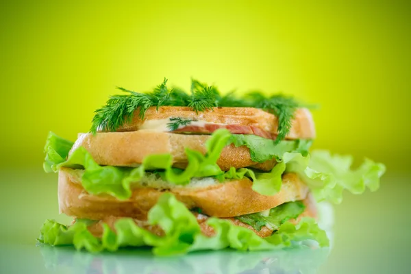 Hot sandwiches with ham and cheese — Stock Photo, Image