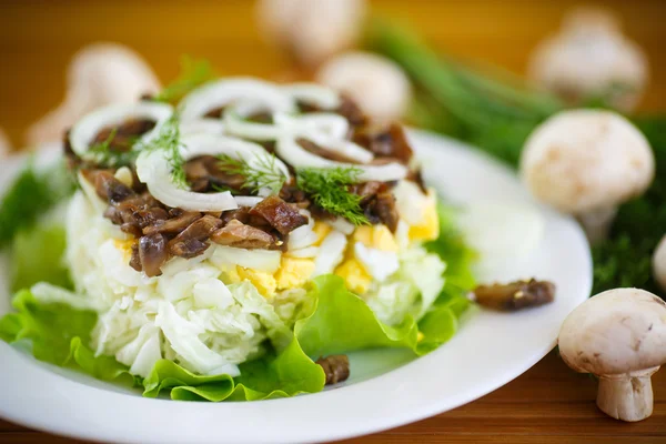 Salad with cabbage and mushrooms — Stock Photo, Image