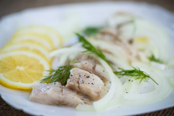 Stücke gesalzenen Herings mit Zwiebeln — Stockfoto