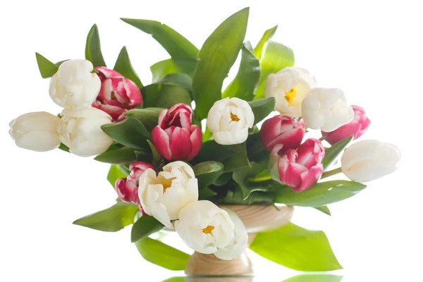 Boeket tulpen — Stockfoto