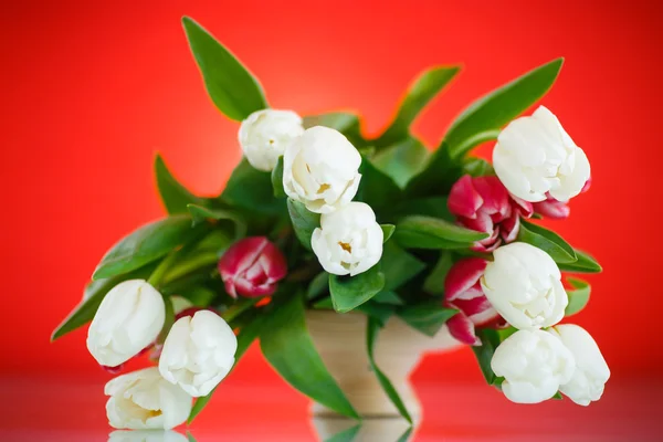 Bouquet of tulips — Stock Photo, Image