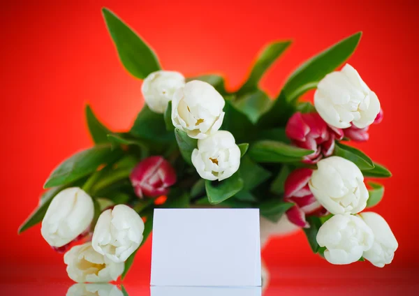 Boeket tulpen — Stockfoto