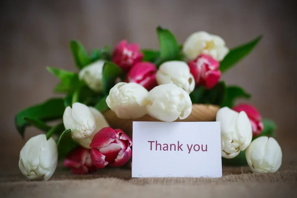 Bouquet of tulips — Stock Photo, Image