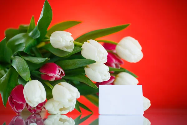 Bouquet di tulipani — Foto Stock