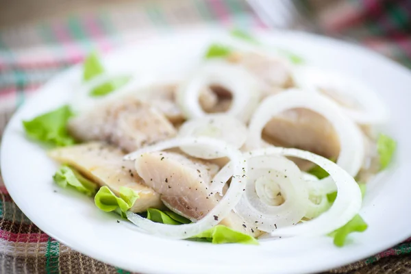 Trozos de arenque salado con cebolla — Foto de Stock