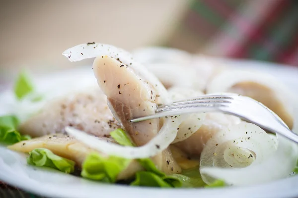 Stücke gesalzenen Herings mit Zwiebeln — Stockfoto