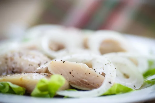 Pieces of salted herring with onions — Stock Photo, Image