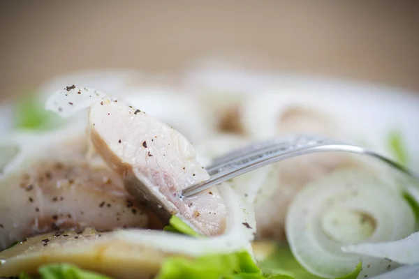 Pezzi di aringa salata con cipolle — Foto Stock