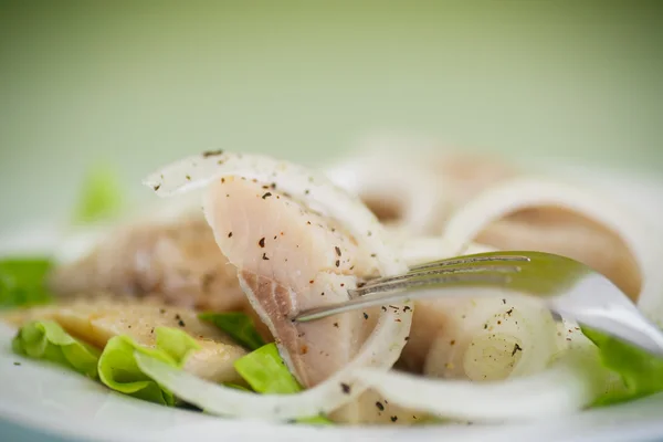 Pezzi di aringa salata con cipolle — Foto Stock