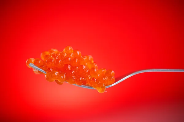 Caviar vermelho — Fotografia de Stock