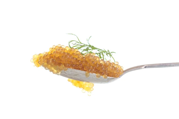 Pike caviar — Stock Image Pike caviar Stock Image