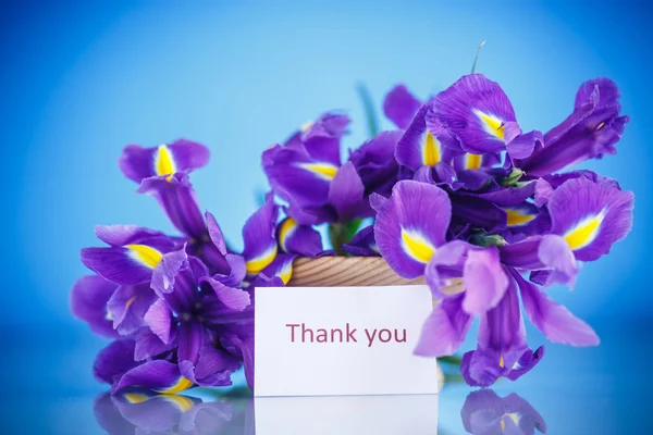 Mooi boeket van bloemen irissen — Stockfoto