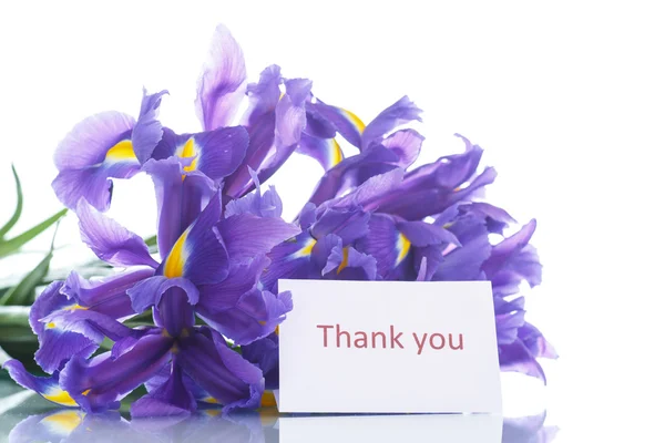 Bouquet of irises — Stock Photo, Image