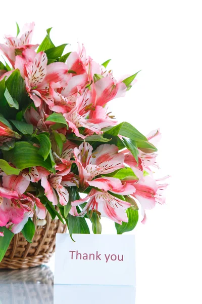 Alstroemeria — Stock Fotó