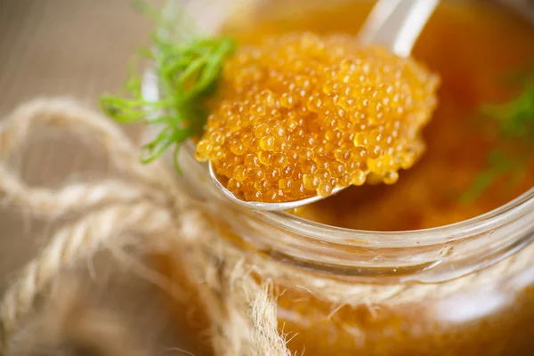 Pike caviar — Stock Image Pike caviar Stock Photo