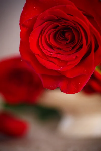 Bel mazzo di rose rosse su un vecchio tavolo di iuta — Foto Stock