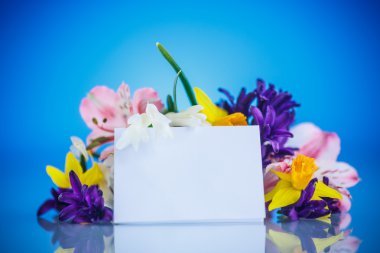 Güzel bir buket bahar çiçeği. 