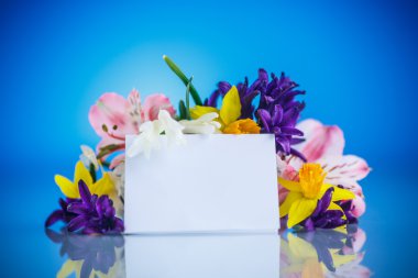 Güzel bir buket bahar çiçeği. 