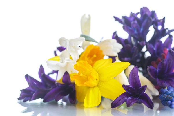 Piękny bukiet wiosennych kwiatów — Zdjęcie stockowe
