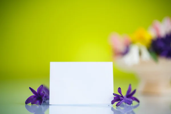 Beautiful bouquet of spring flowers — Stock Photo, Image