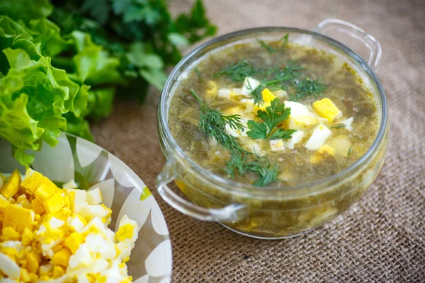 Grön soppa med ägg och ängssyra — Stockfoto