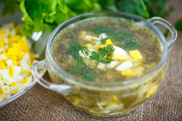 Sopa verde con huevos y acedera Imágenes de stock libres de derechos