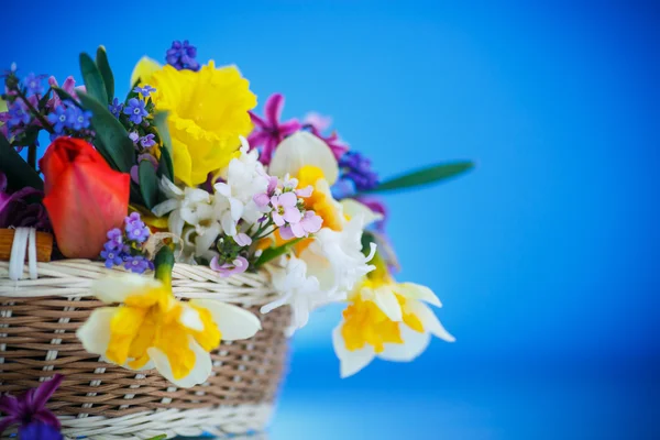 꽃다발 모양의 아름다운 봄 꽃들, — 스톡 사진