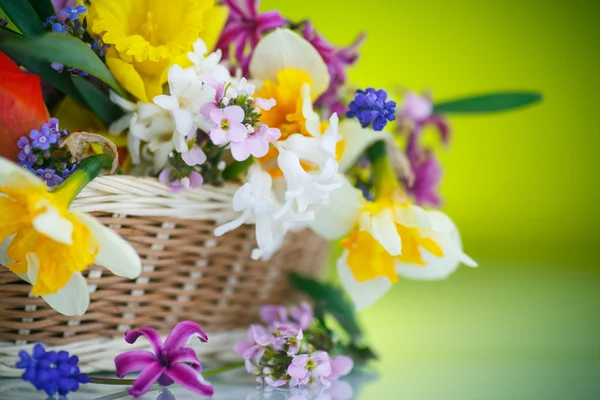 Krásná kytice jarních květin, — Stock fotografie