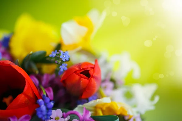 꽃다발 모양의 아름다운 봄 꽃들, — 스톡 사진