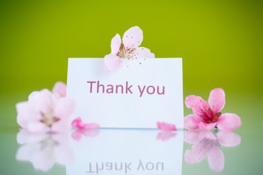 şeftali pembe çiçekler 