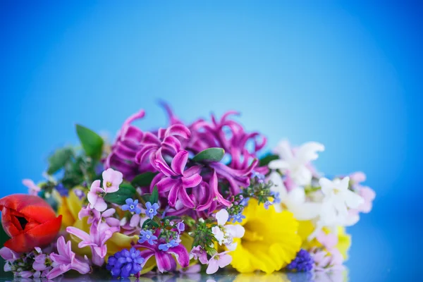 Beau bouquet de fleurs printanières, — Photo